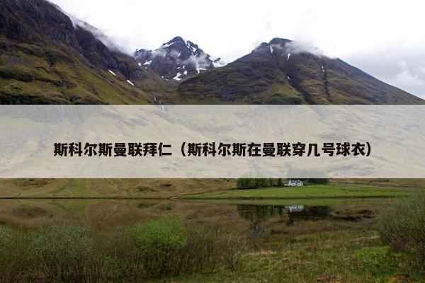 斯科尔斯曼联拜仁（斯科尔斯在曼联穿几号球衣）