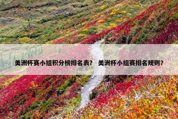 美洲杯赛小组积分榜排名表？ 美洲杯小组赛排名规则？