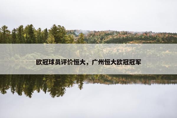 欧冠球员评价恒大，广州恒大欧冠冠军