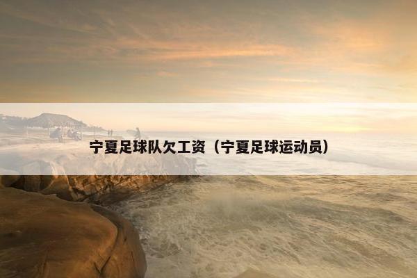 宁夏足球队欠工资（宁夏足球运动员）