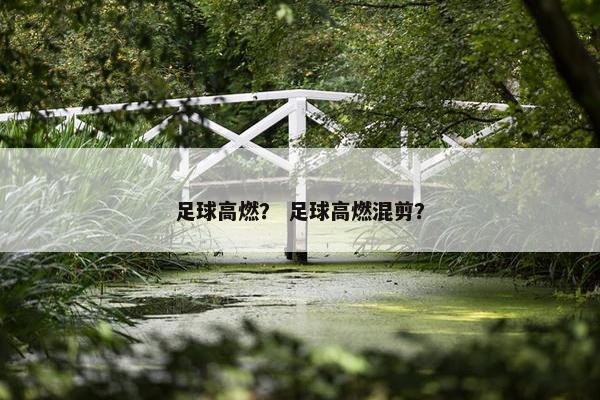 足球高燃？ 足球高燃混剪？