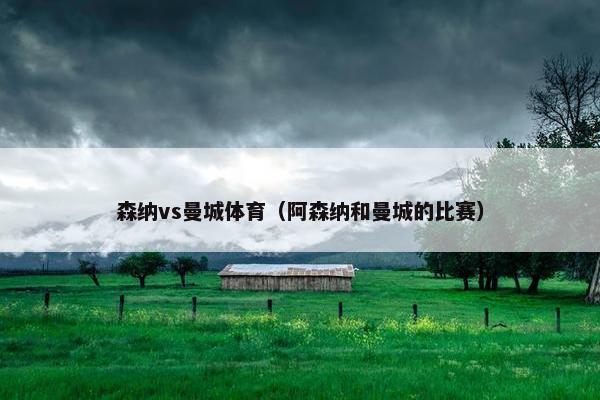 森纳vs曼城体育（阿森纳和曼城的比赛）