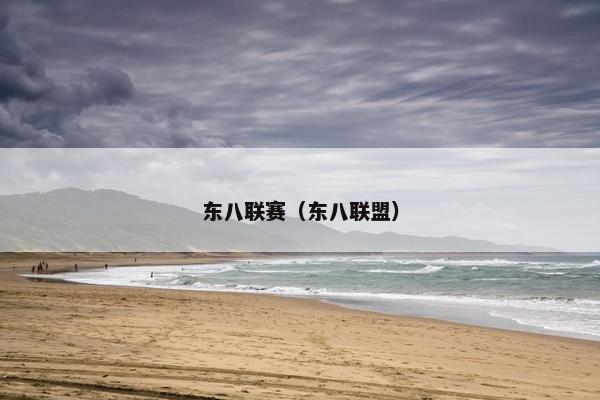 东八联赛(东八联盟) 东八联赛(东八联盟)