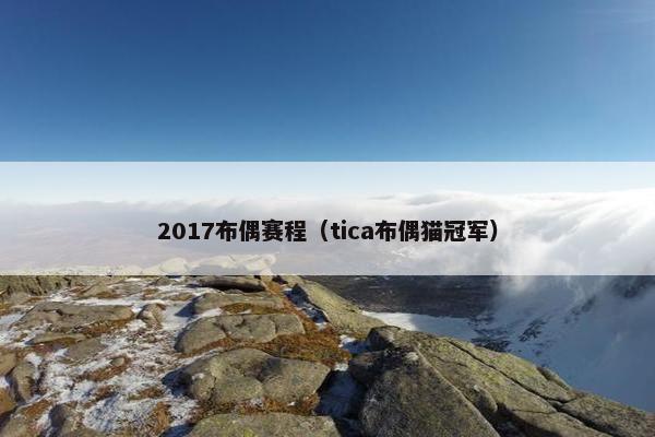 2017布偶赛程（tica布偶猫冠军）
