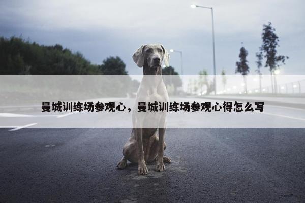 曼城训练场参观心，曼城训练场参观心得怎么写