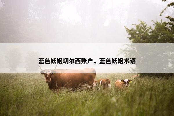 蓝色妖姬切尔西账户，蓝色妖姬术语