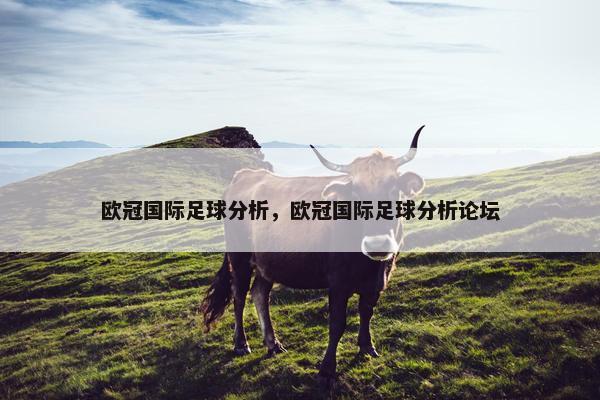 欧冠国际足球分析，欧冠国际足球分析论坛