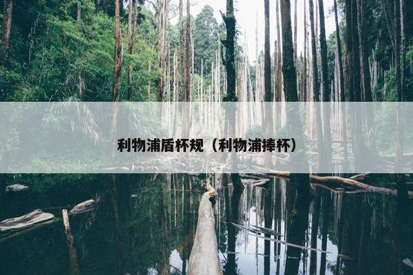 利物浦盾杯规（利物浦捧杯）