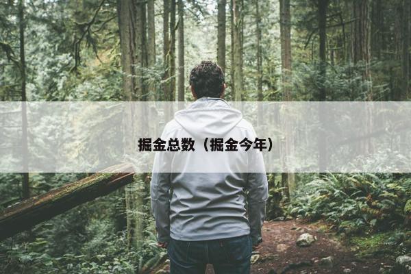 掘金总数（掘金今年）