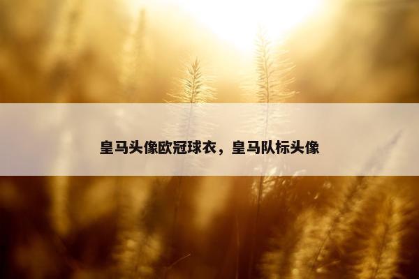 皇马头像欧冠球衣，皇马队标头像