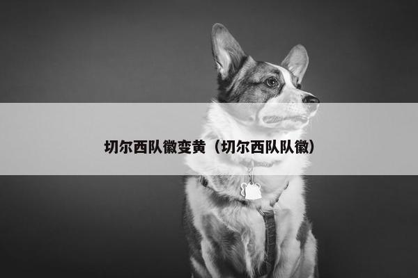 切尔西队徽变黄（切尔西队队徽）
