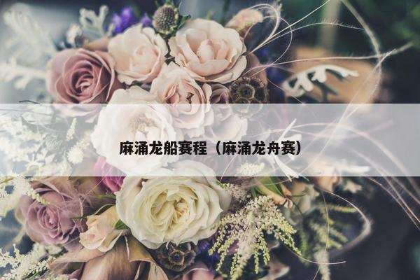 麻涌龙船赛程（麻涌龙舟赛）