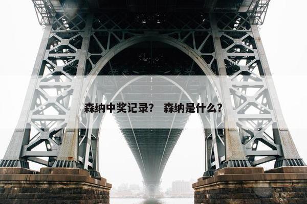 森纳中奖记录？ 森纳是什么？