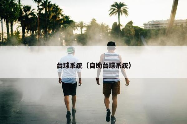台球系统（自助台球系统）
