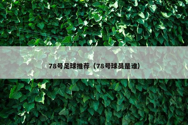 78号足球推荐(78号球员是谁) 78号足球推荐(78号球员是谁)