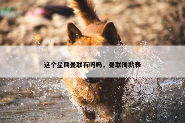 这个星期曼联有吗吗，曼联周薪表