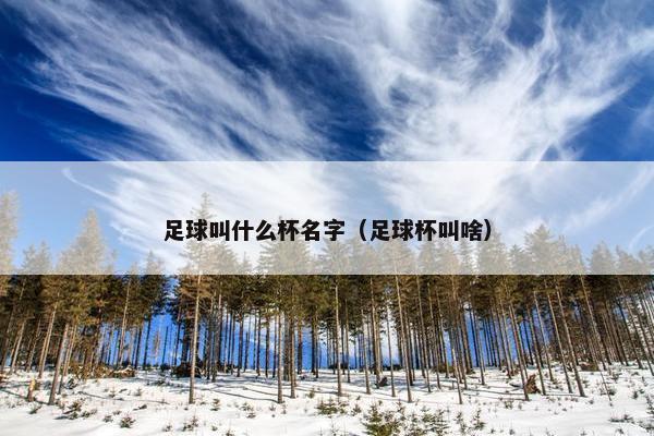 足球叫什么杯名字（足球杯叫啥）
