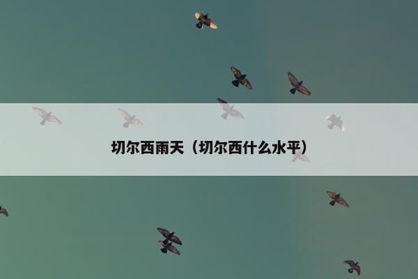 切尔西雨天（切尔西什么水平）
