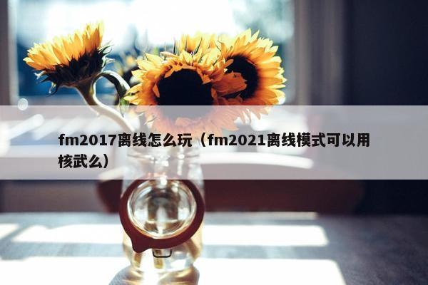fm2017离线怎么玩（fm2021离线模式可以用核武么）