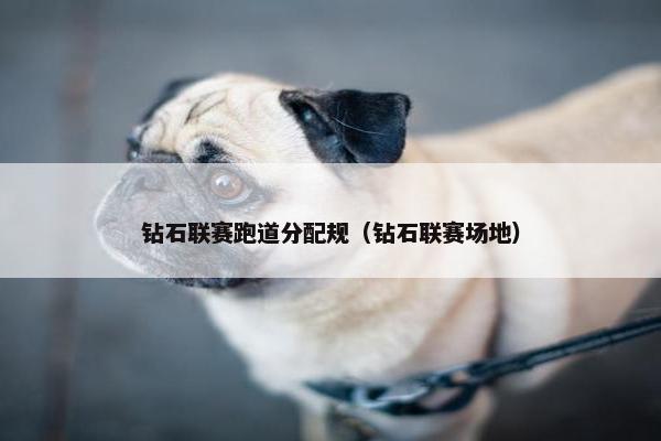 钻石联赛跑道分配规（钻石联赛场地）