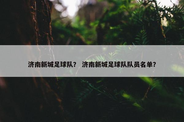 济南新城足球队？ 济南新城足球队队员名单？