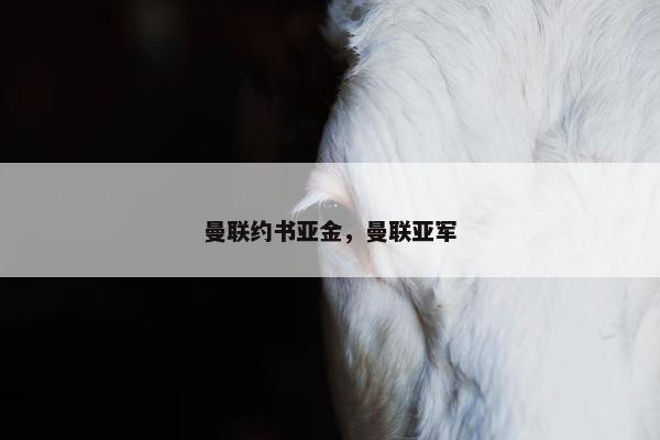 曼联约书亚金，曼联亚军