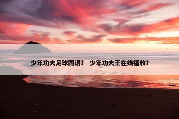 少年功夫足球国语？ 少年功夫王在线播放？