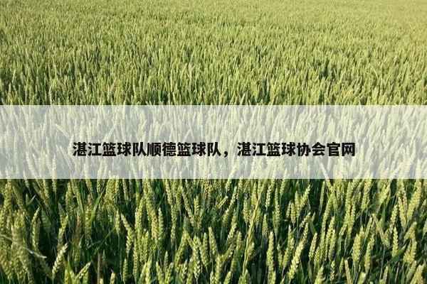 湛江篮球队顺德篮球队，湛江篮球协会官网