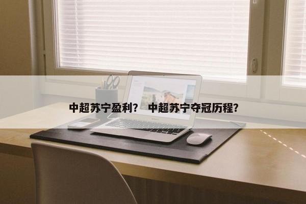 中超苏宁盈利？ 中超苏宁夺冠历程？