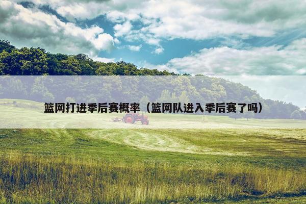 篮网打进季后赛概率（篮网队进入季后赛了吗）