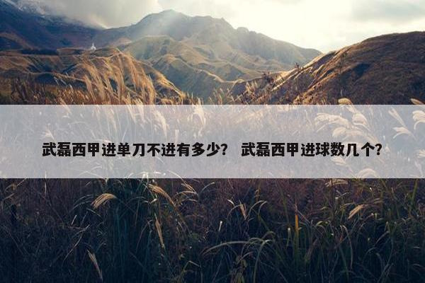 武磊西甲进单刀不进有多少？ 武磊西甲进球数几个？