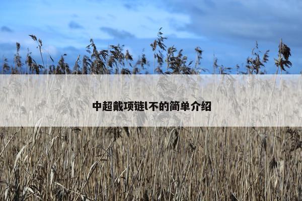 中超戴项链l不的简单介绍
