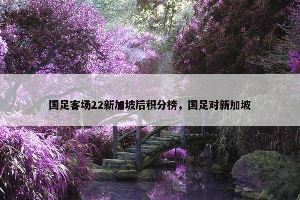 国足客场22新加坡后积分榜，国足对新加坡
