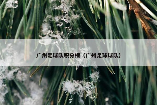 广州足球队积分榜（广州足球球队）