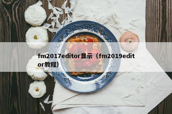 fm2017editor显示（fm2019editor教程）