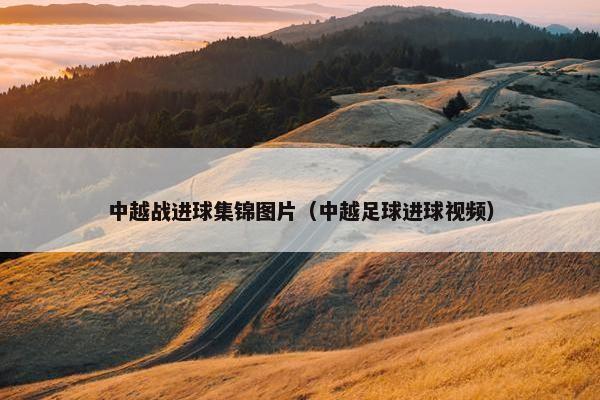 中越战进球集锦图片(中越足球进球视频) 中越战进球集锦图片(中越足球进球视频)