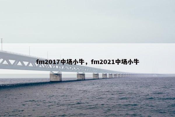 fm2017中场小牛,fm2021中场小牛 fm2017中场小牛,fm2021中场小牛