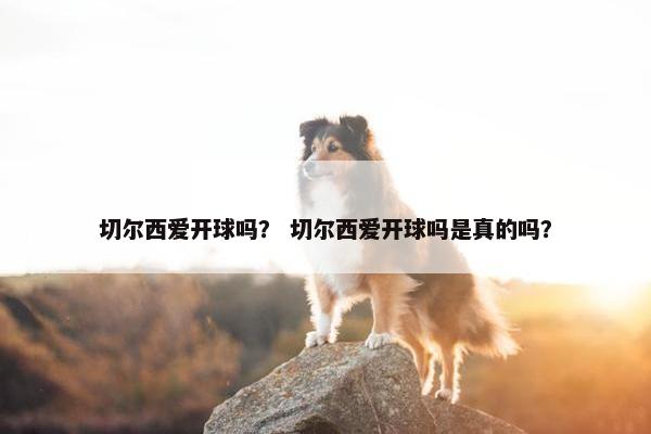 切尔西爱开球吗? 切尔西爱开球吗是真的吗? 切尔西爱开球吗? 切尔西爱开球吗是真的吗?