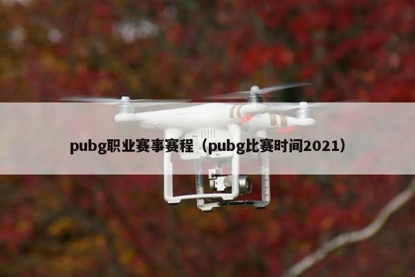 pubg职业赛事赛程(pubg比赛时间2021) pubg职业赛事赛程(pubg比赛时间2021)