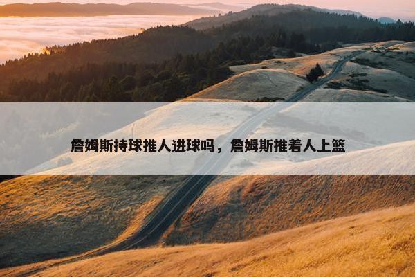 詹姆斯持球推人进球吗,詹姆斯推着人上篮 詹姆斯持球推人进球吗,詹姆斯推着人上篮