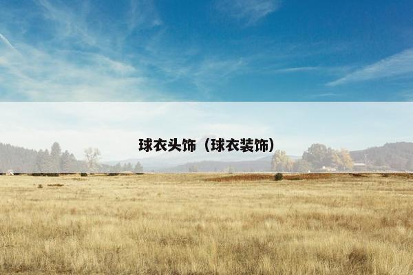 球衣头饰（球衣装饰）