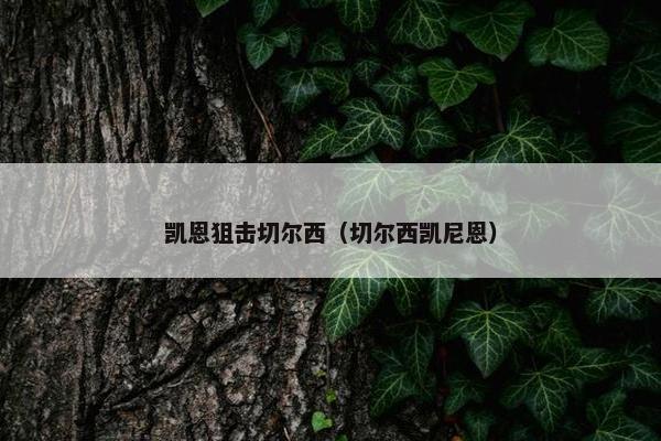 凯恩狙击切尔西(切尔西凯尼恩) 凯恩狙击切尔西(切尔西凯尼恩)