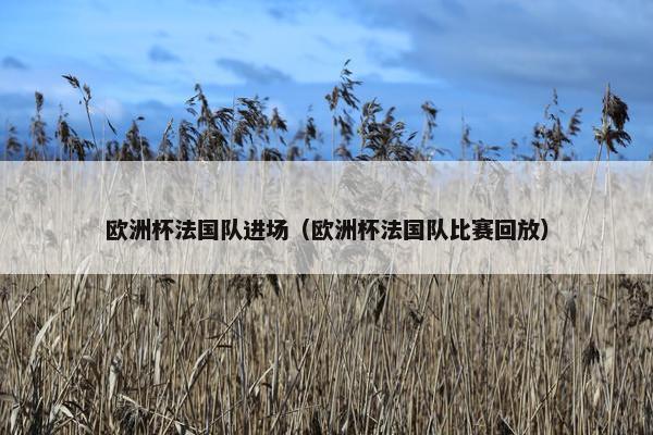 欧洲杯法国队进场(欧洲杯法国队比赛回放) 欧洲杯法国队进场(欧洲杯法国队比赛回放)