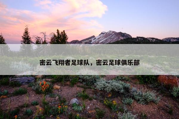 密云飞翔者足球队,密云足球俱乐部 密云飞翔者足球队,密云足球俱乐部