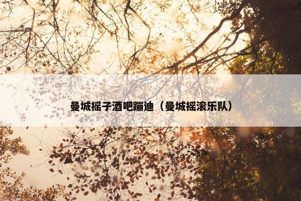 曼城摇子酒吧蹦迪(曼城摇滚乐队) 曼城摇子酒吧蹦迪(曼城摇滚乐队)