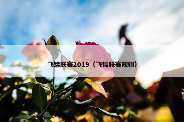 飞镖联赛2019(飞镖联赛规则) 飞镖联赛2019(飞镖联赛规则)