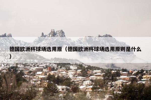 德国欧洲杯球场选用原(德国欧洲杯球场选用原则是什么) 德国欧洲杯球场选用原(德国欧洲杯球场选用原则是什么)