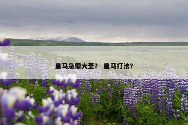 皇马急需大圣？ 皇马打法？