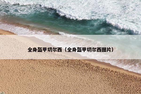 全身盔甲切尔西(全身盔甲切尔西图片) 全身盔甲切尔西(全身盔甲切尔西图片)
