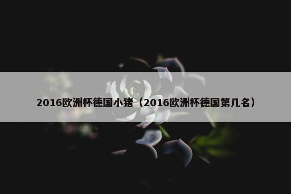2016欧洲杯德国小猪(2016欧洲杯德国第几名) 2016欧洲杯德国小猪(2016欧洲杯德国第几名)